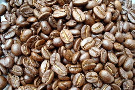 广州市白云区太和源味食品加工厂 专注于食品开发与生产的创新企业