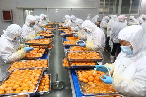 延伸果蔬加工产业链 出口罐头生产忙