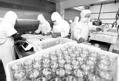 淮北芦笋喜丰收，绿色食品开发正当时