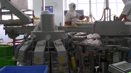 公主岭 鲜食玉米产业蓬勃发展 食品开发迈向精深