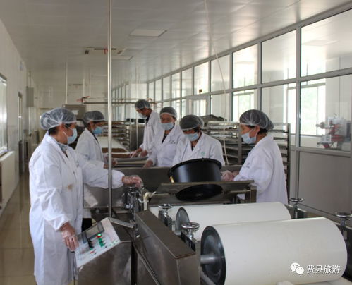 沂蒙小调 以核桃深加工为笔，绘就脱贫攻坚新画卷