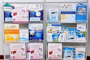 百名媒体人见证 石岛食品产业如何凭创新与品质惊艳全国