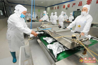 凤凰于飞 硕果累累——食品开发与生产之路